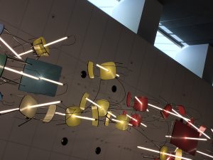 IMG_6863