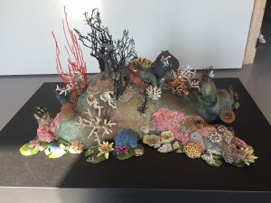 IMG_1058